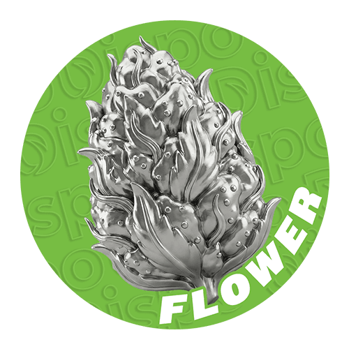 Cannabis Flower Buds at the Best Prices in Michigan - Dispo Cannabis Flower Buds at the Best Prices in Michigan - Dispo